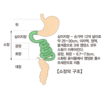 단장증후군