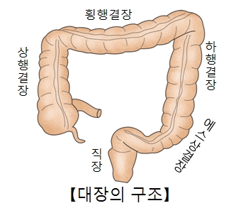 린치 증후군