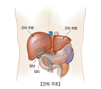 간의 위치