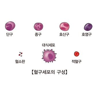 조직구