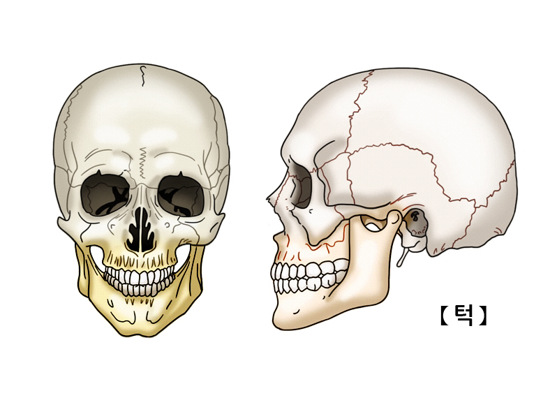 턱